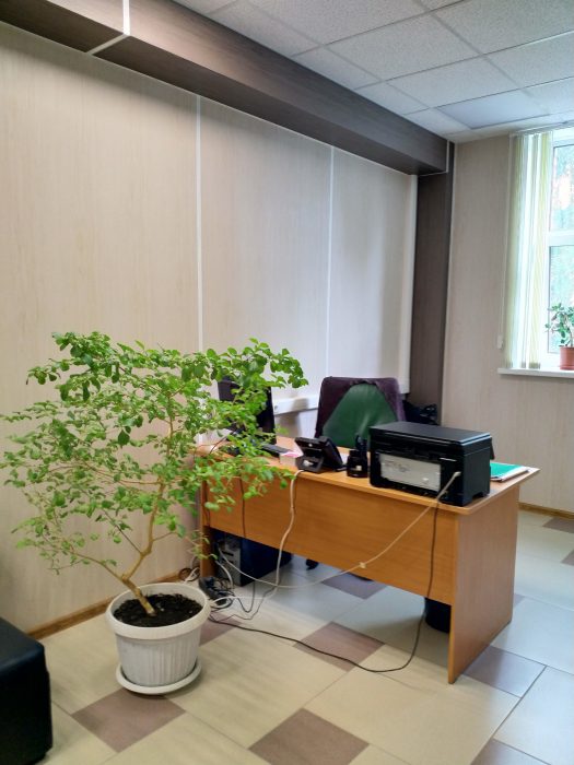 Аренда офиса в Екатеринбурге
